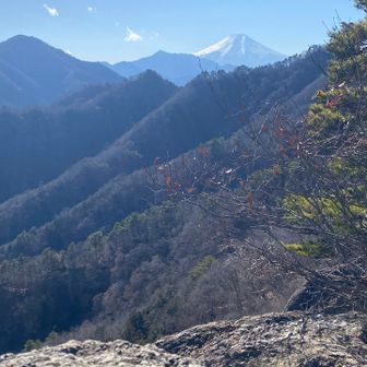 御前山から富士山🗻