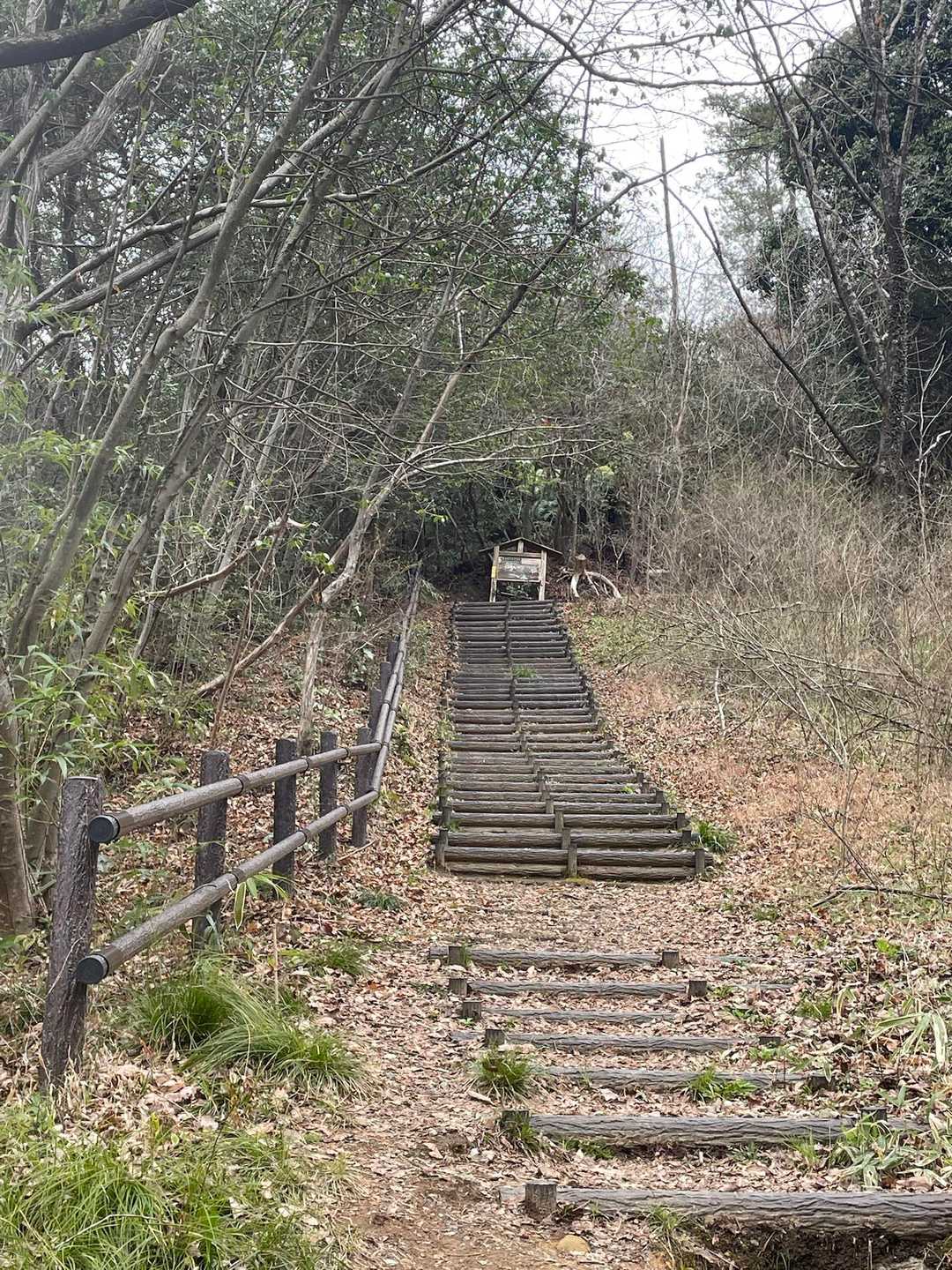 階段か〜😩