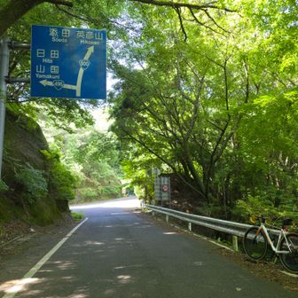野峠にて。
ここから国道500号線へ。
前回は左の山国からサイクリング。

https://yamap.com/activities/43812734/article#image-597149069
