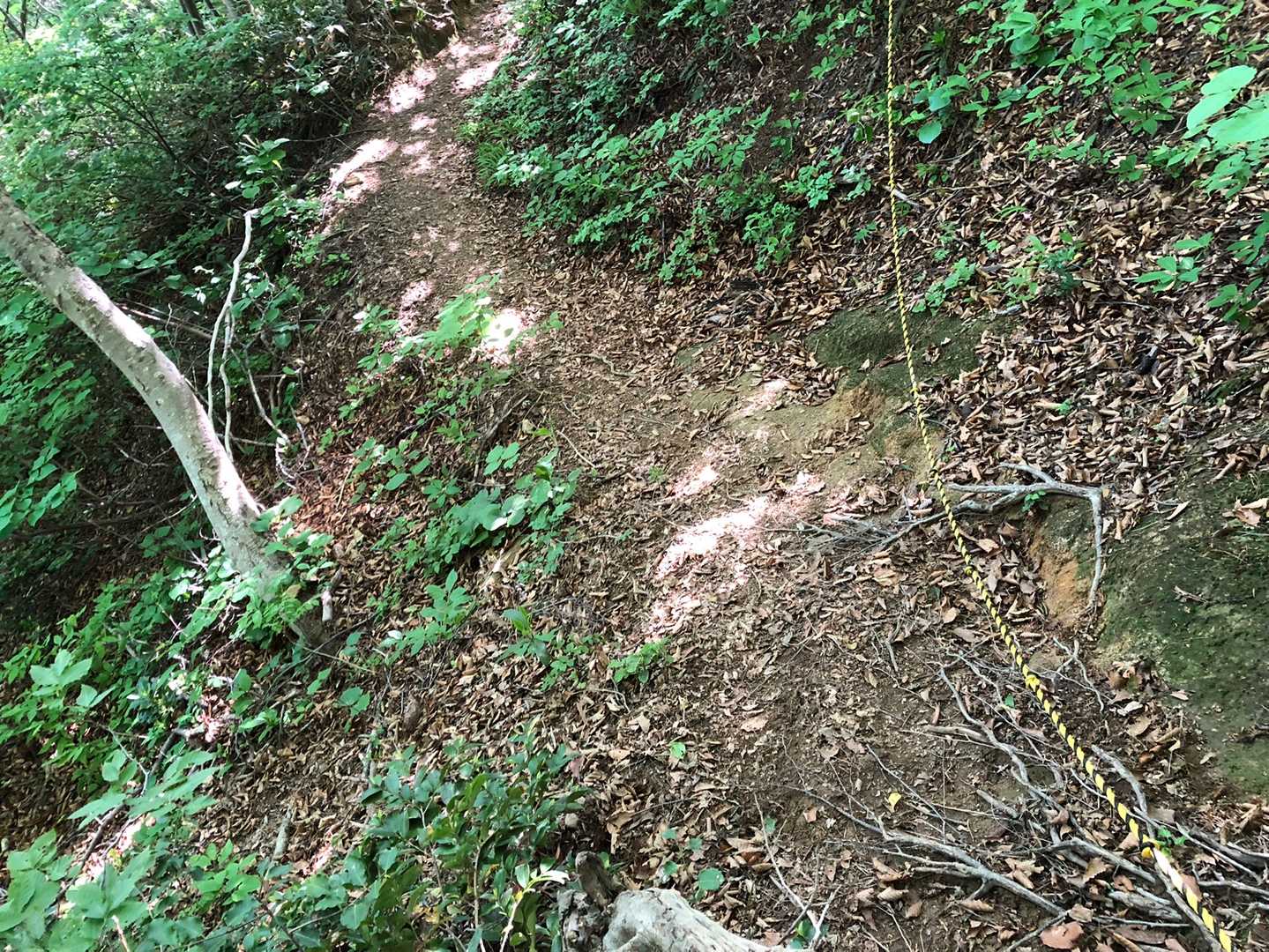 ここだけ少し登山道崩落