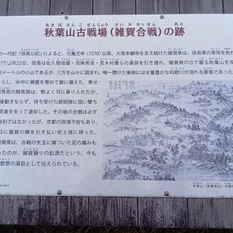 秋葉山（あきばさん）山頂。山名板無し😭