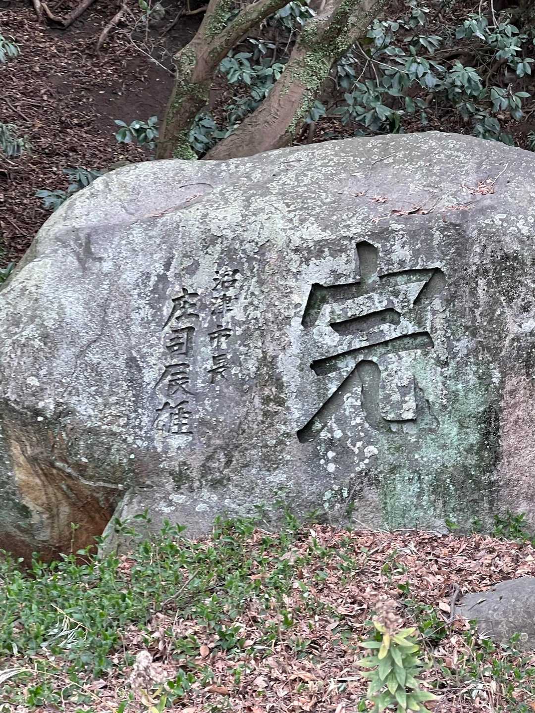 完‼️
