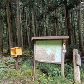 権現山登山口スタート
