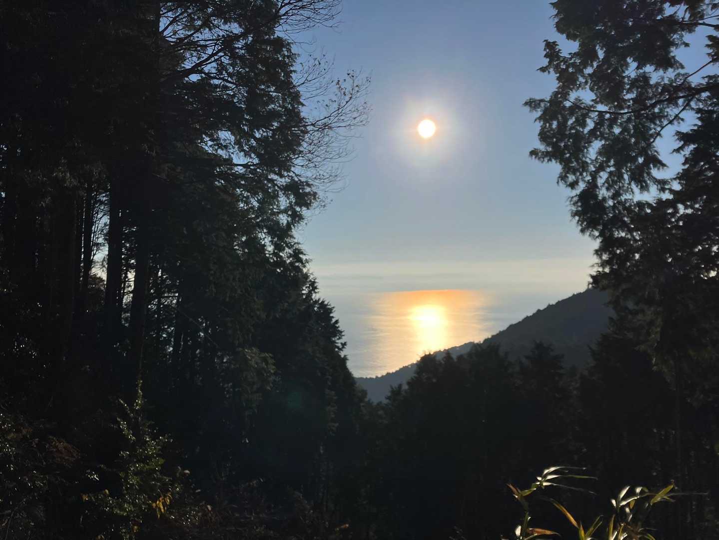 駿河湾