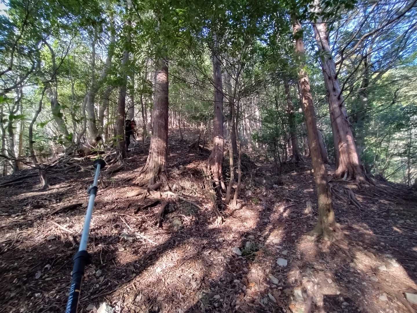 登山道本道は画像右側です。山腹を巻いて登っていくようですが、今回、三角点を取りに行きたくて伯楽神社の後ろから尾根を直登しました。