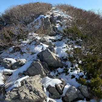 ピーク直下の斜面