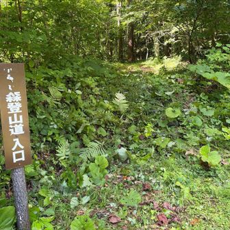 １時間ほどで登山口に到着