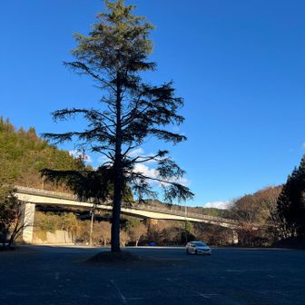 駐車場はマイカーだけ