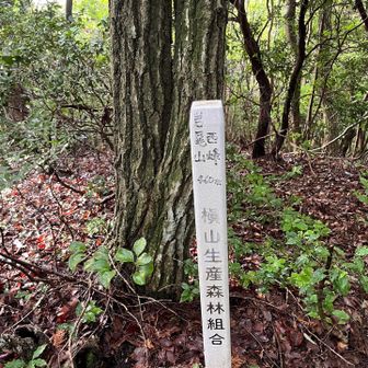 山名、標高、森林組合の棒にマジック書き。
大きな羽音の虫に追われてすぐ退散。