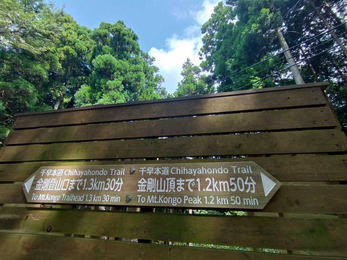 千早本道登山口-金剛山 往復コースの写真