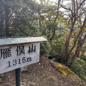 記念すべきの300座目🥰🎶