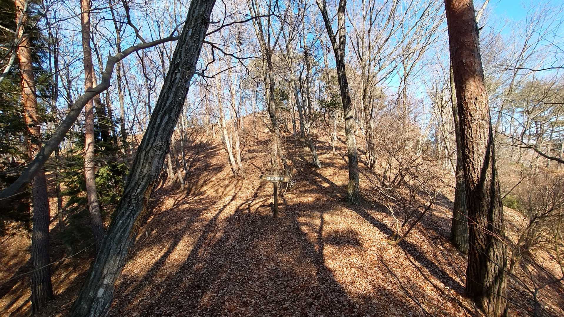 この丘を登れば山頂。