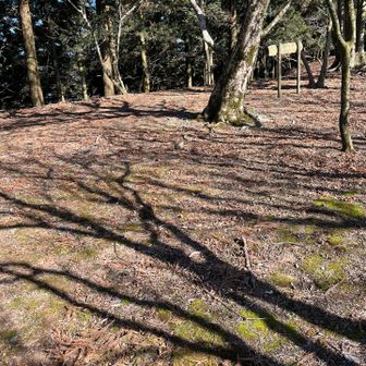 城跡広範囲平になってます