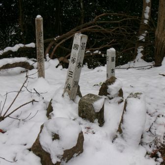 四等三角点　点名：極楽寺５１８．４ｍ