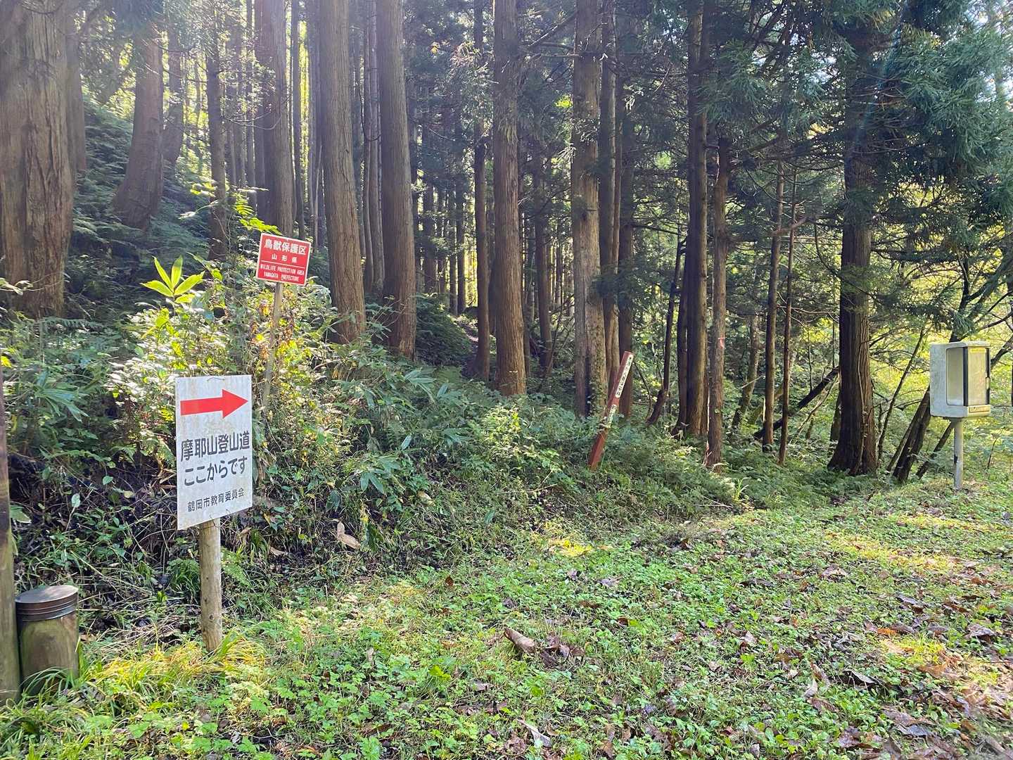 登山口からはしばらく緩めの登りです