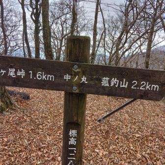 中ノ丸山🙋ヨシ