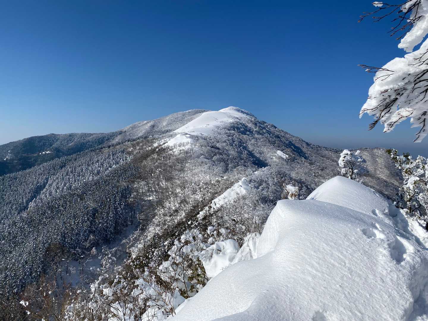 山頂手前から見た綿向山。といっても、山頂は雪に埋もれてよくわかりませんでした。なので、yamapを見て、通り過ぎたあたりまで進みました。