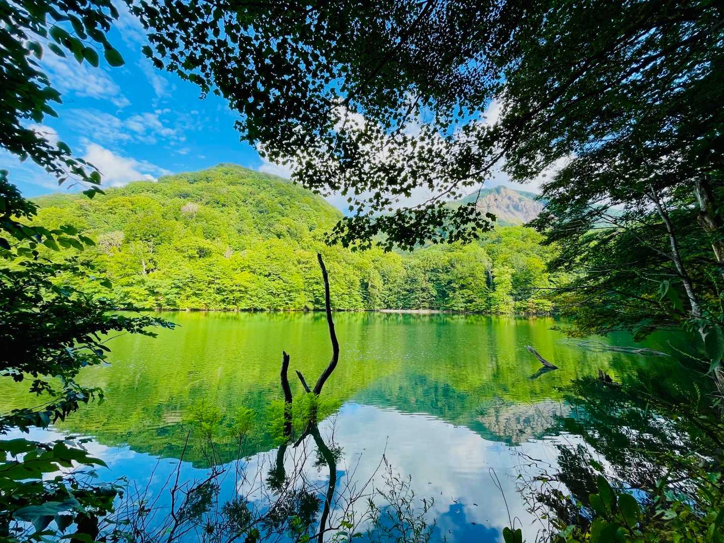 奥十二湖駐車場バス停発着｜白神山地十二湖青池散策周回コースの写真
