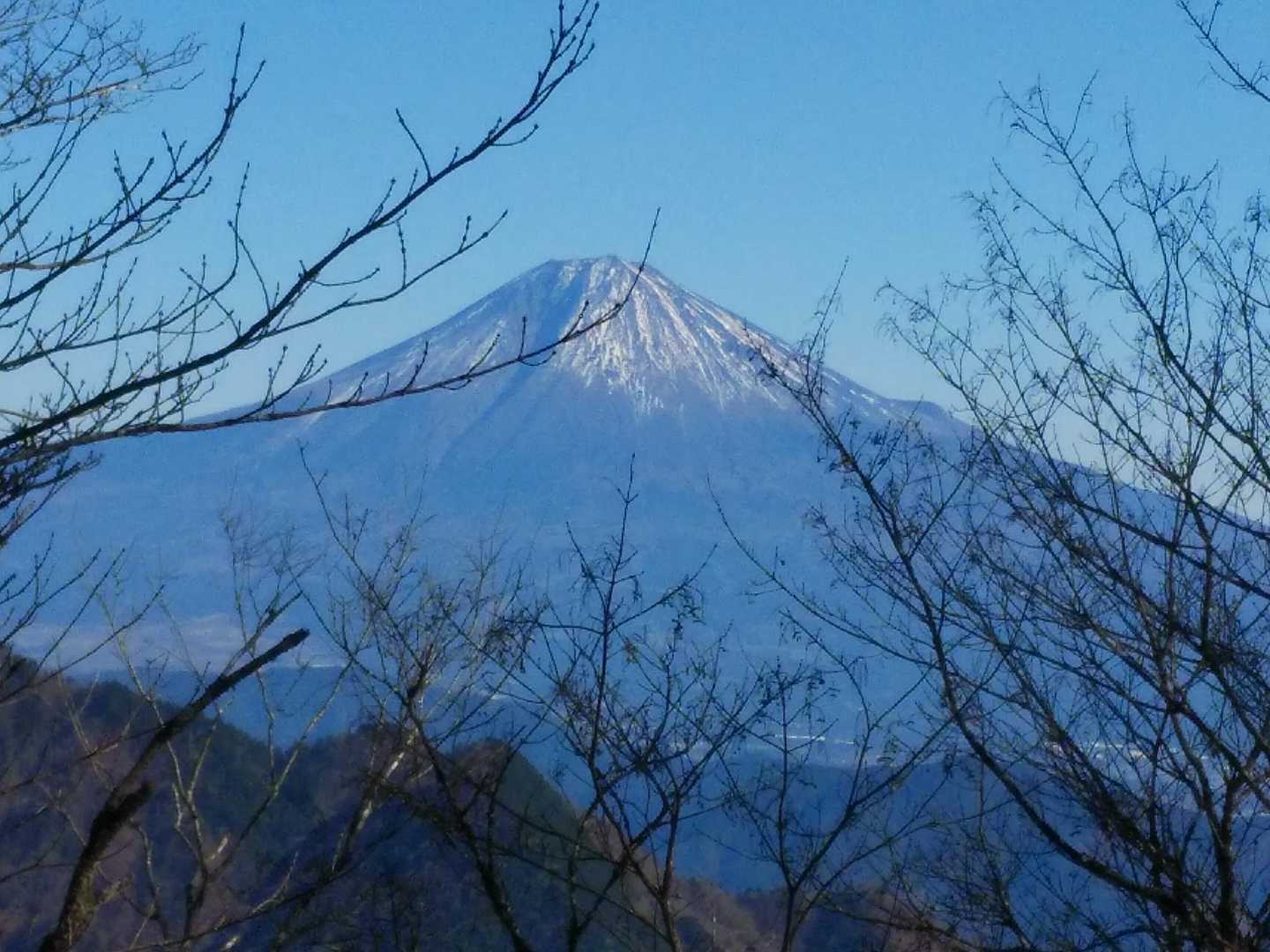 地蔵峠入口-仏谷山-細島峠-うつろぎ山 往復コースの写真