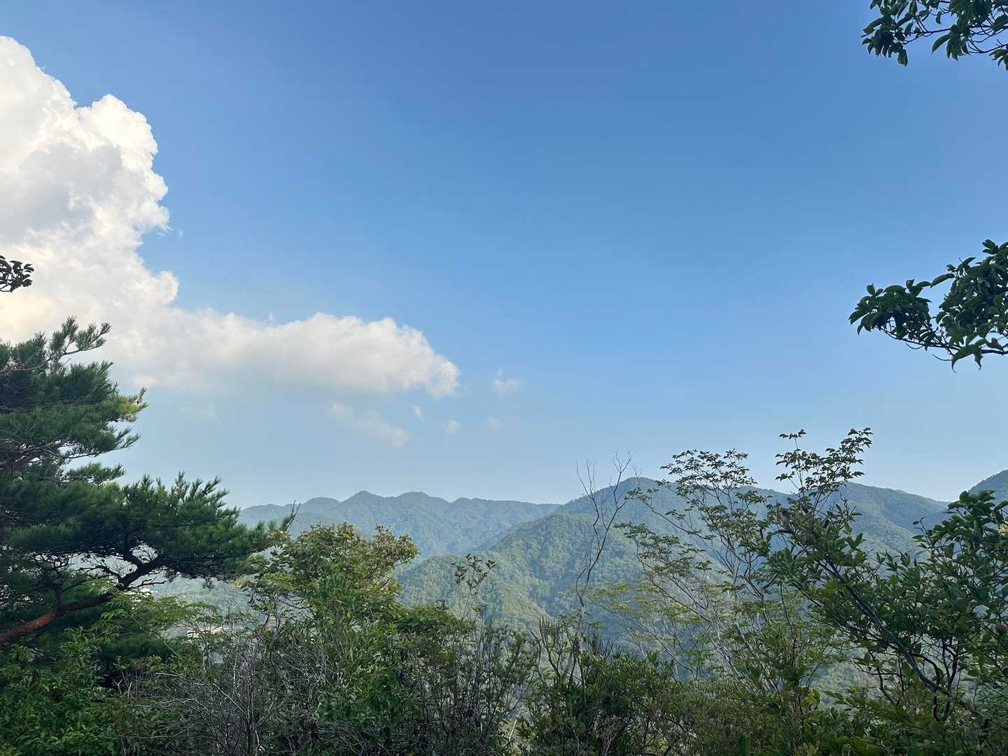 六甲山も見えるよ〜⛰️