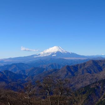 しげかず