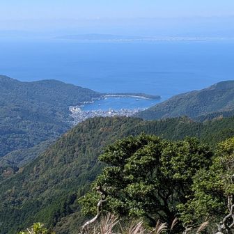 戸田(へだ)港が見えてきました。✨️
戸田には子どもたちが小さい頃、海水浴に行ったので懐かしいです。