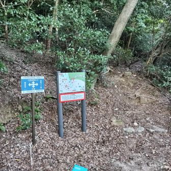 中尾根取り付き地点
