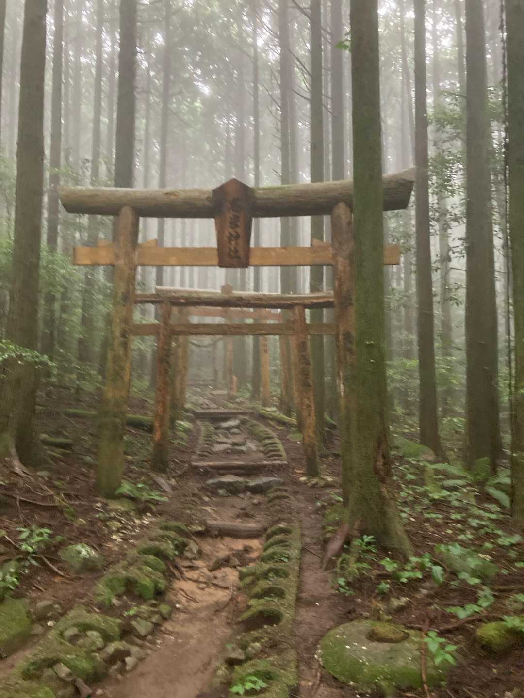 高岩山 周回コースの写真