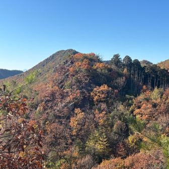 さっきまでいた、槍どんぐり山の岩🪨

まだ時間あるから、お山ひとつ追加しよう
