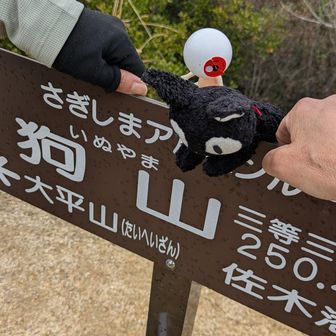 狗山（いぬやま）に猫参上！