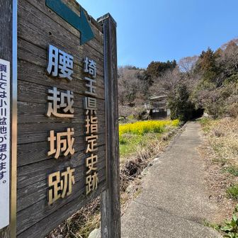 登山はここまで
城山の迂回路以外は良い登山道でした

山ではソロの方4人と10人位のグループのハイカーさんにお会いしました
明日から天気予報では雨、今日は登山日和ですからね〜🎶