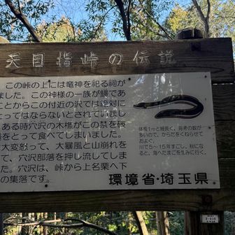 伝説もあります✨