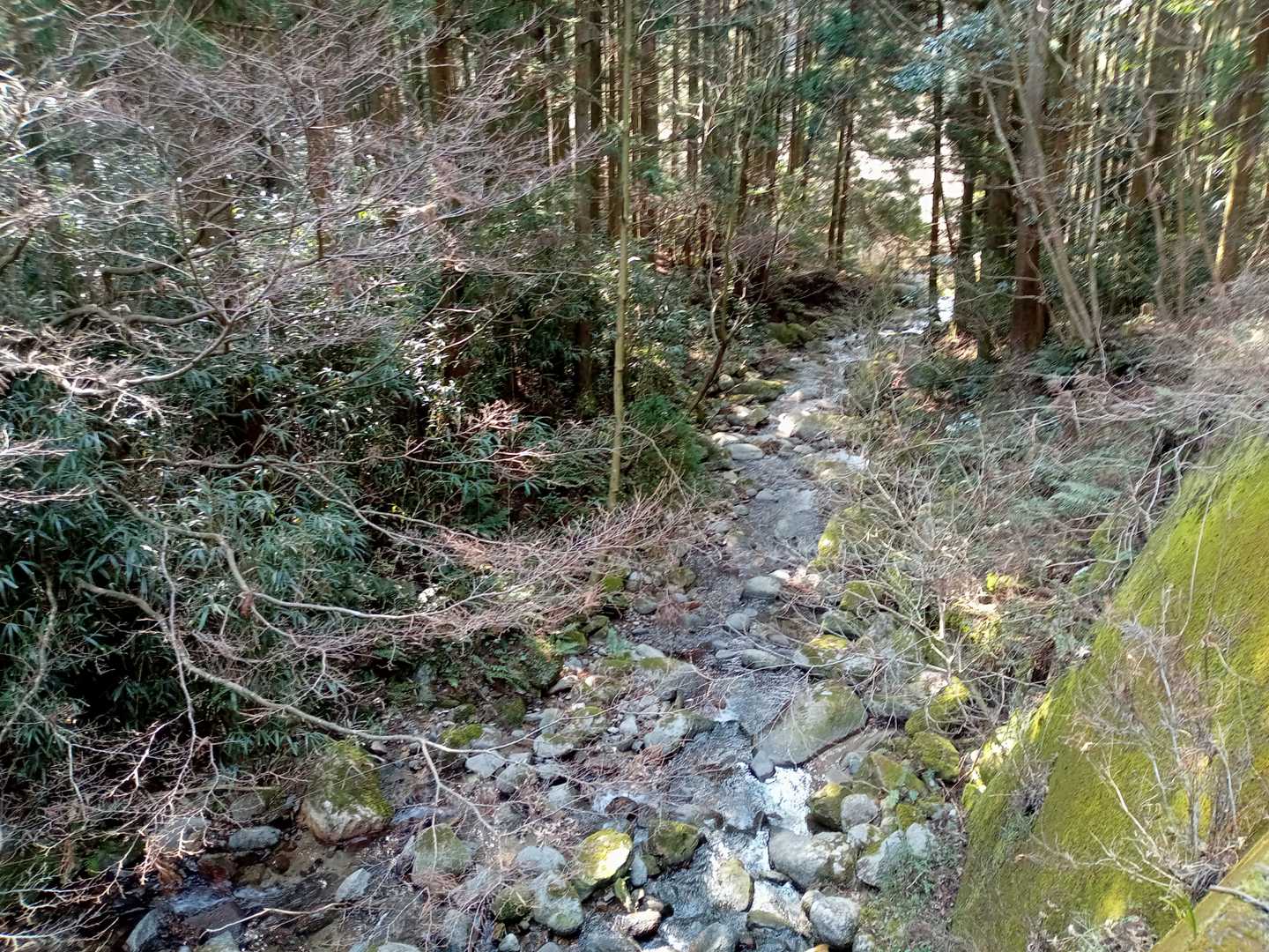 キャンプ場を過ぎ更に歩きます・・・河のせせらぎが疲れを癒します・・・（なんも疲れとらんだろが！）