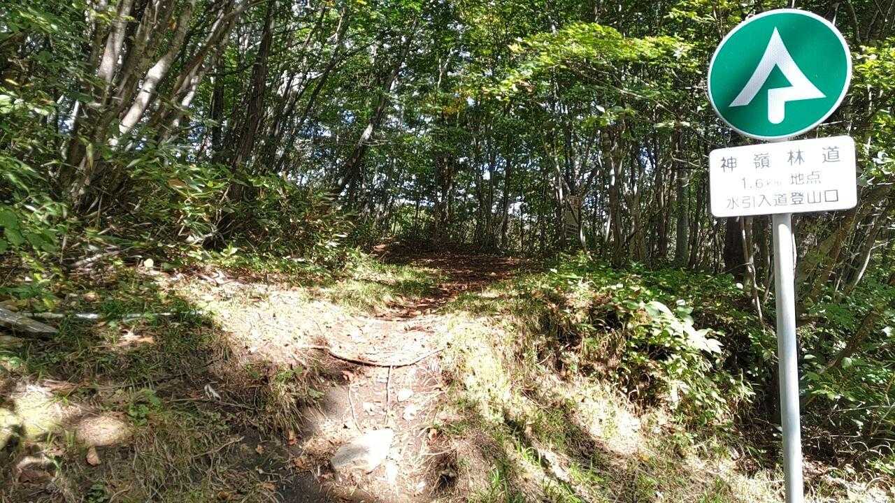 神嶺林道 登山口
今日もありがとうございました🙂⤵️
