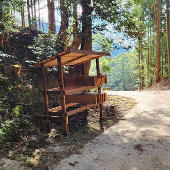 この板が木道になる