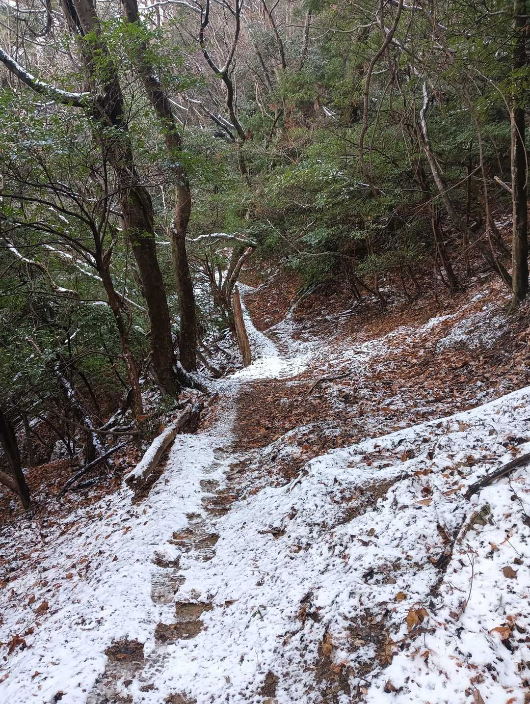 帰り道は雪がとけて少なくなってました