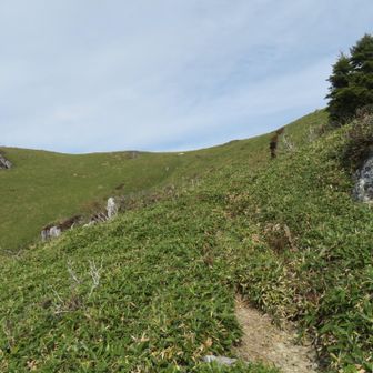 山頂近し