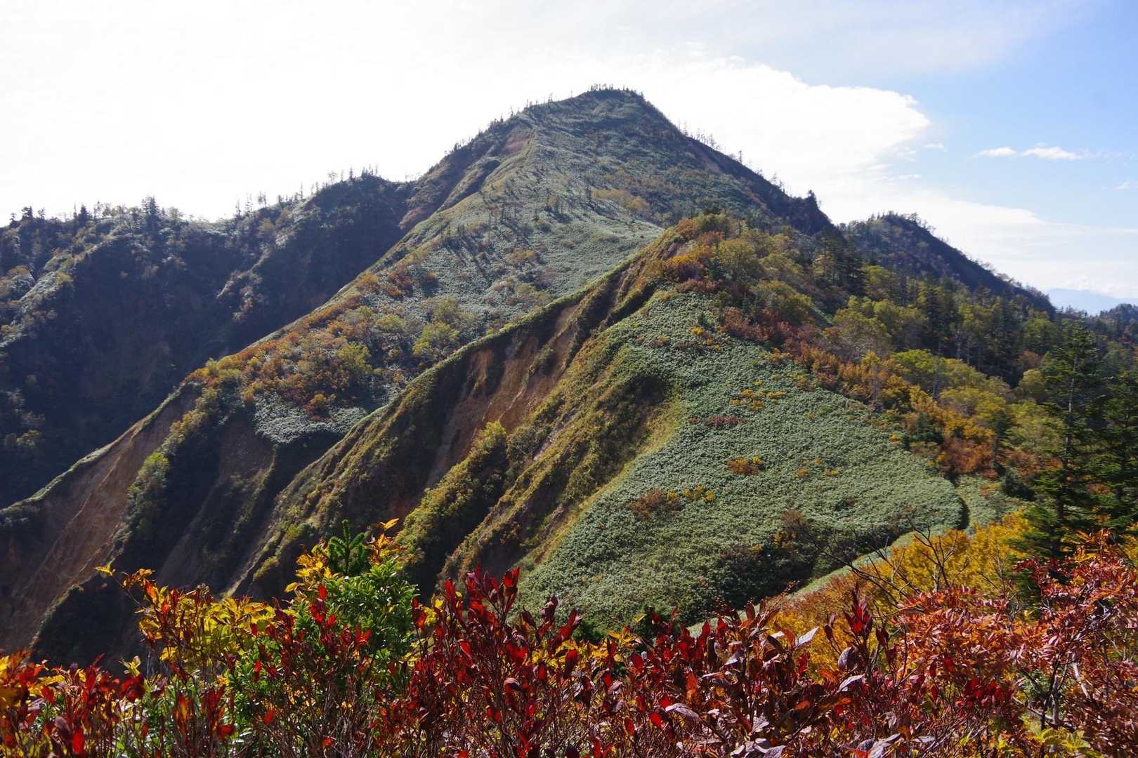 振り返ると鳥甲山の山頂。

翼を広げた「怪鳥」とも喩えられるらしい。