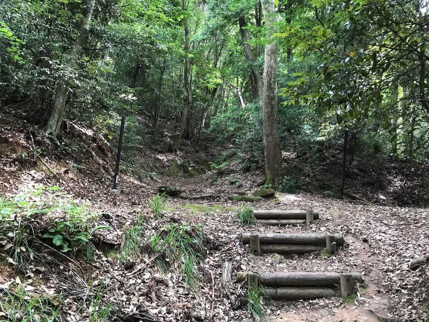 少しばかりの登りを経て