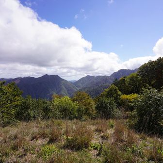 【東南方向】
向こうの山との間の谷が「宮の谷渓谷」(17㎜)