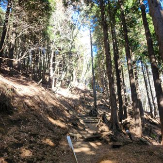 塔ノ岳・丹沢山・蛭ヶ岳 駒止の下