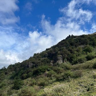 樹林帯を抜けると清々しい青空💙