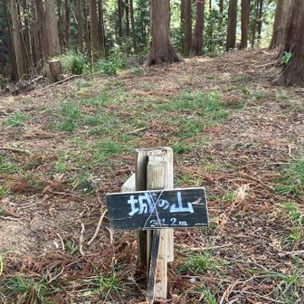 山頂本丸跡
三角点もあります