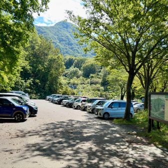 下山時は桜坂第一駐車場まで埋まっていました。
コースの半分が急登ですがその後稜線歩きが疲れを忘れさせてくれる最高の山でした。
また来ます巻機山👋
