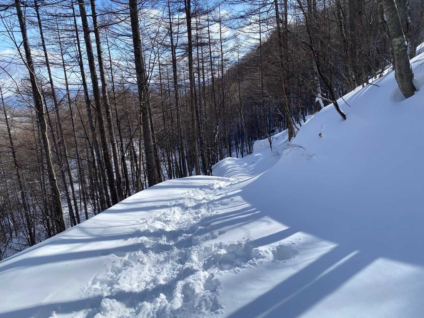 みどり池入口-ニュウ-中山峠 周回コースの写真
