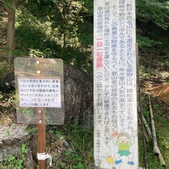 私たちも砂袋を一袋ずつ持って上がることに💪🏻