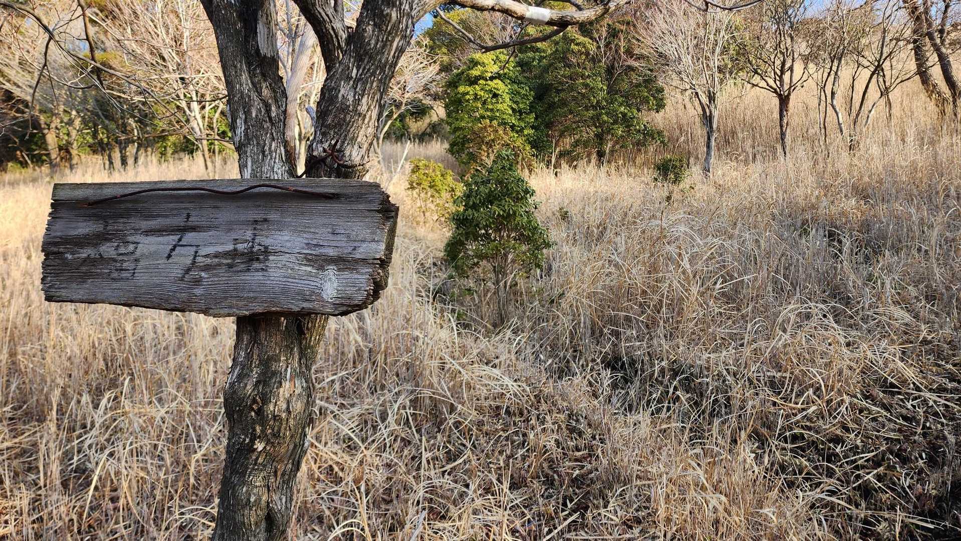 こっちね