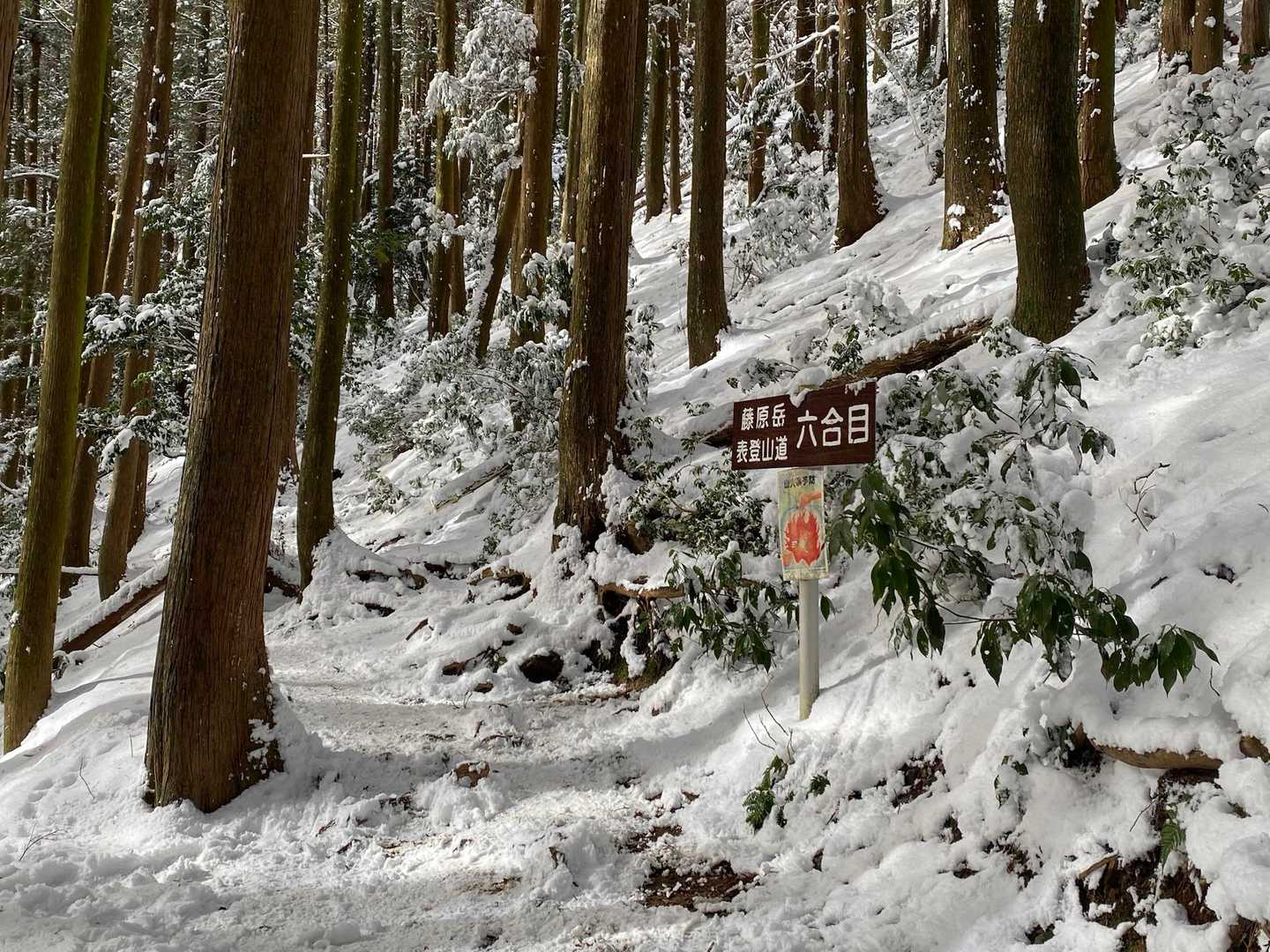 雪深くなってきた