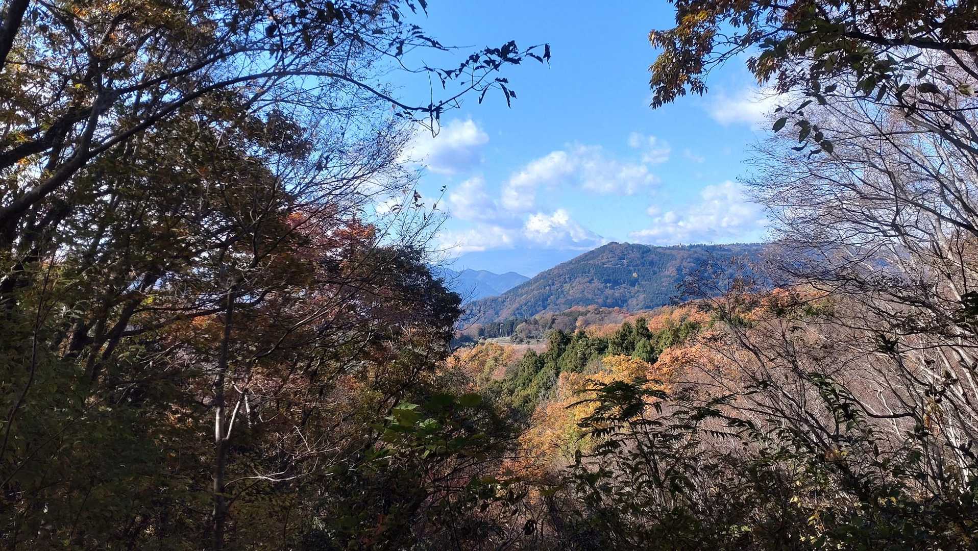 ここに🗻いるはず