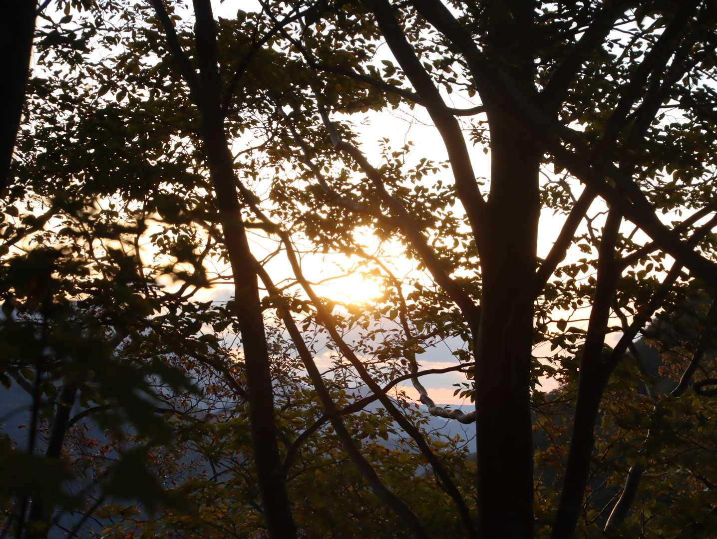 あっという間に夕陽
雪の中ノ岳
色んなことを思い出した１日でした
お疲れさまでした